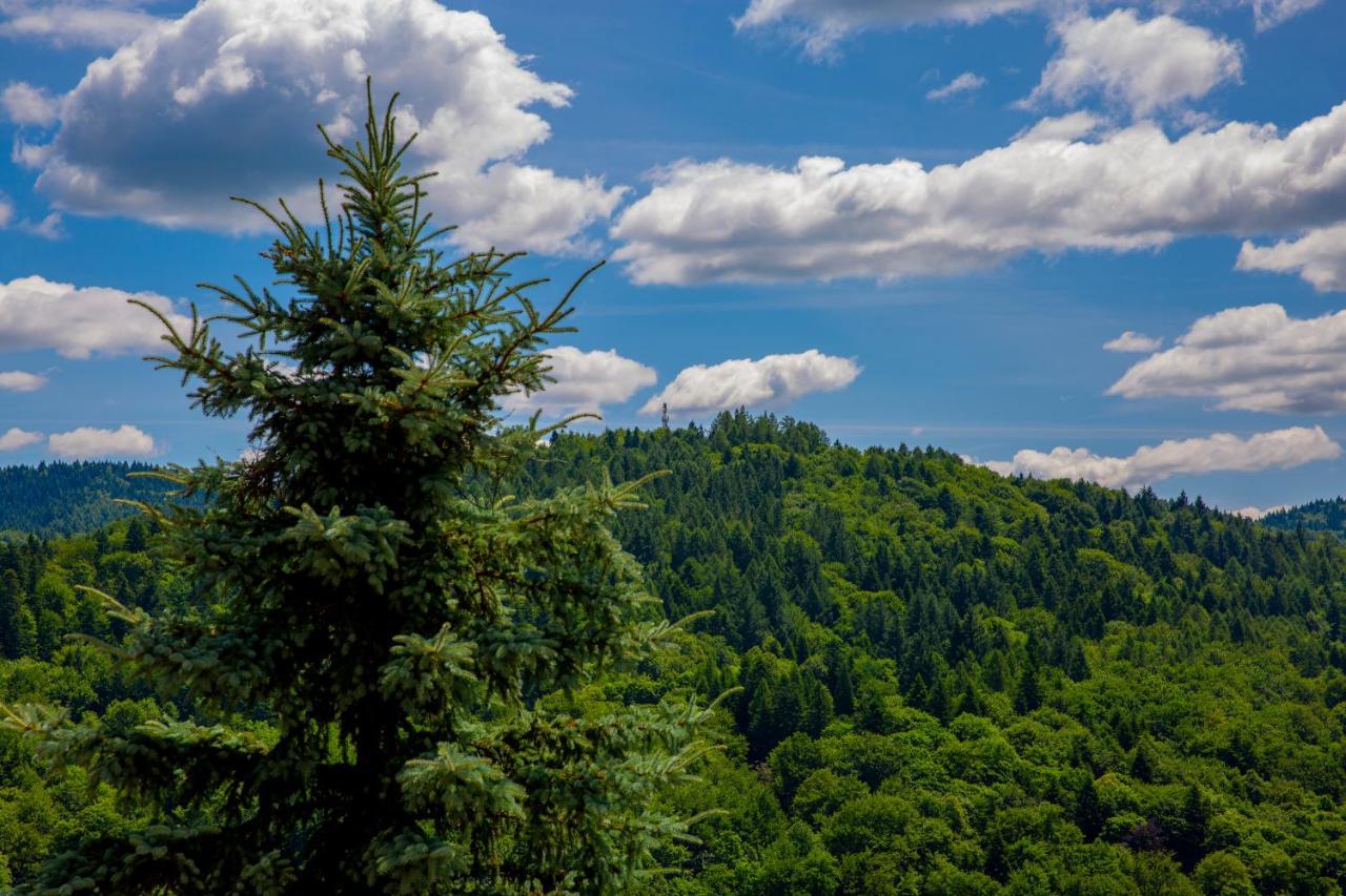 Sun & Sport Apartamenty Krynica-Zdroj Exteriér fotografie