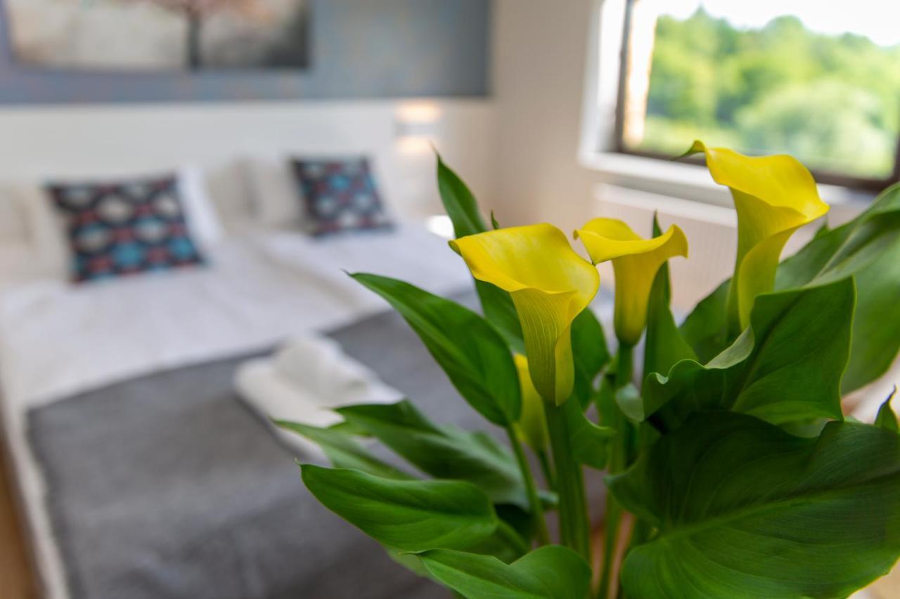 Sun & Sport Apartamenty Krynica-Zdroj Exteriér fotografie